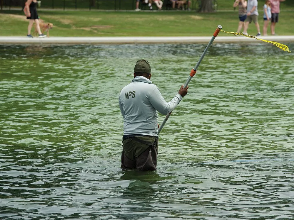 Performative toughness, algae blooms, and Pride
