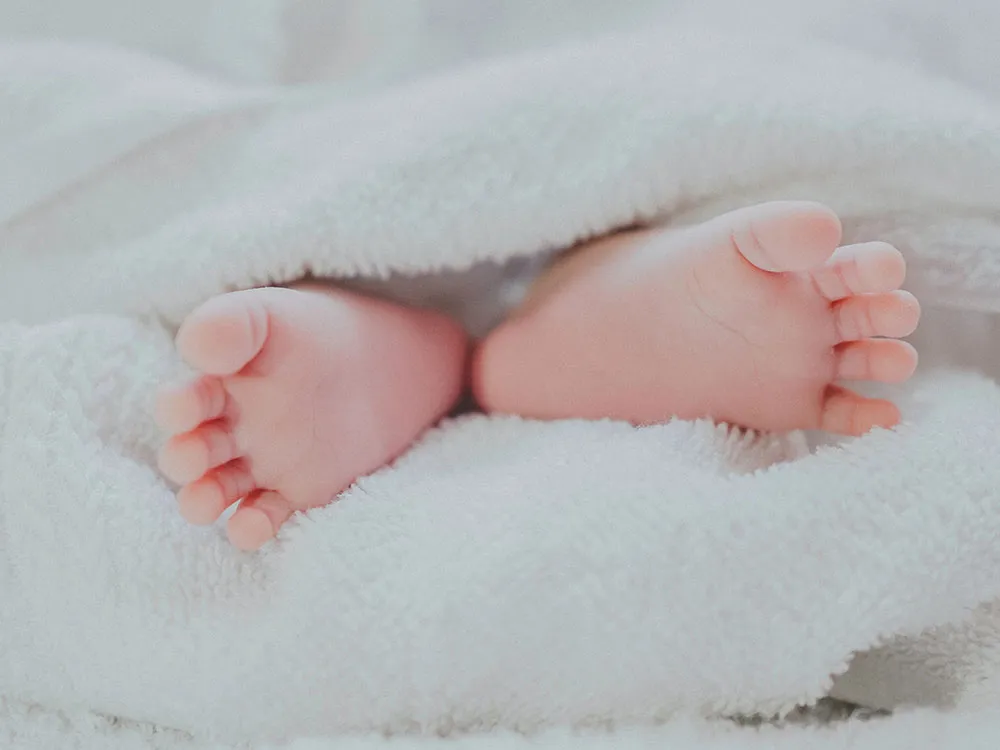 Nonbio Mom Vs. Sperm Donor Case Is a 