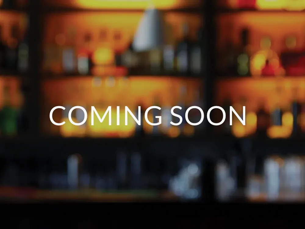 Bostons first new queer bar in a long time approved in the Back Bay